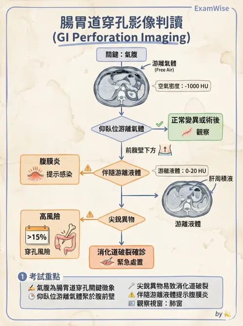 放射 - 胸腹部CT診斷 - AI 圖文解析預覽