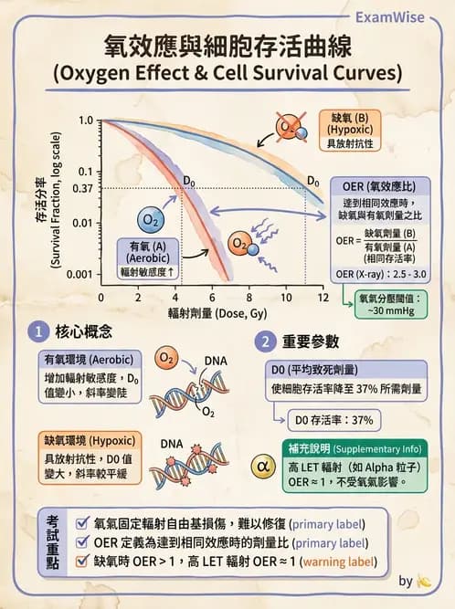 放射 - LET、RBE、OER與復氧效應 - AI 圖文解析預覽