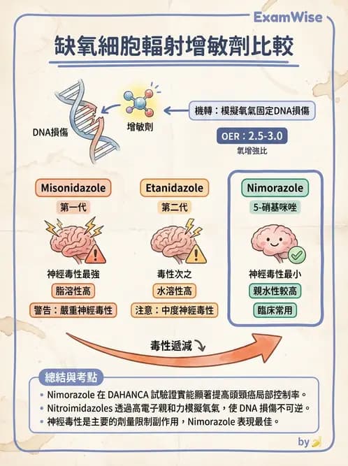 放射 - 輻射增敏與保護 - AI 圖文解析預覽