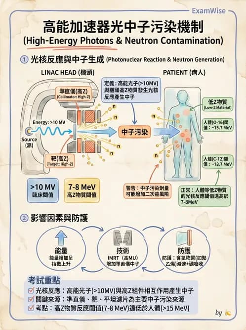 放射 - 放射治療輻射防護 - AI 圖文解析預覽