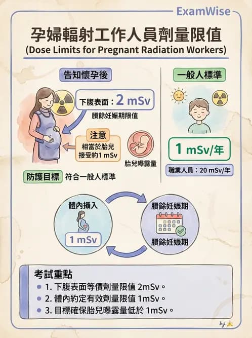 放射 - 放射治療輻射防護 - AI 圖文解析預覽