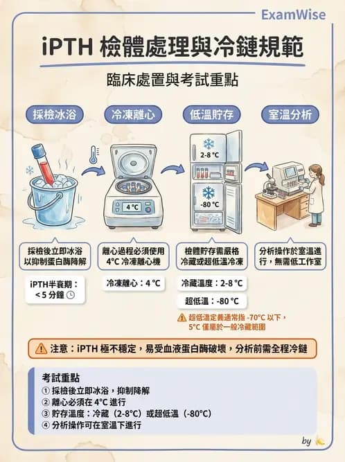 放射 - 免疫分析品管與臨床應用 - AI 圖文解析預覽