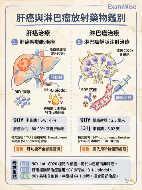 放射 - 腫瘤治療 - AI 圖文解析預覽