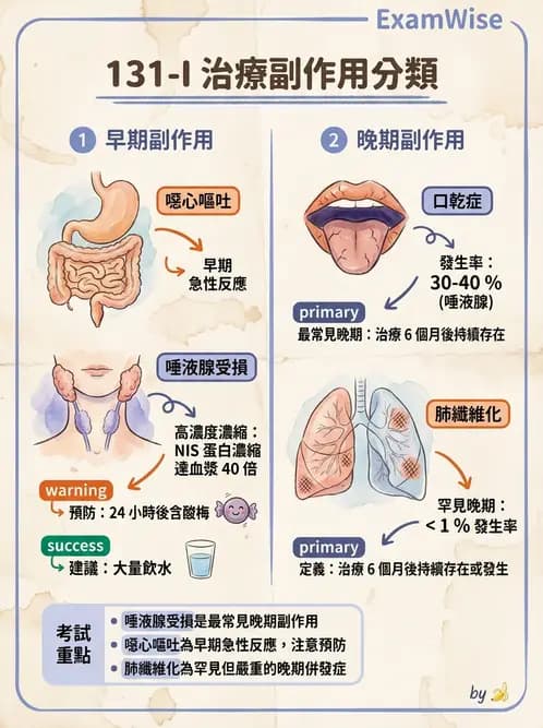 放射 - 腫瘤治療 - AI 圖文解析預覽