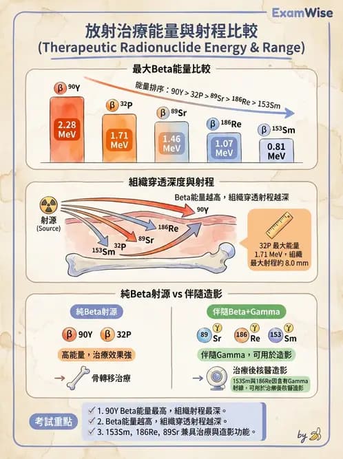 放射 - 治療用核醫藥物 - AI 圖文解析預覽