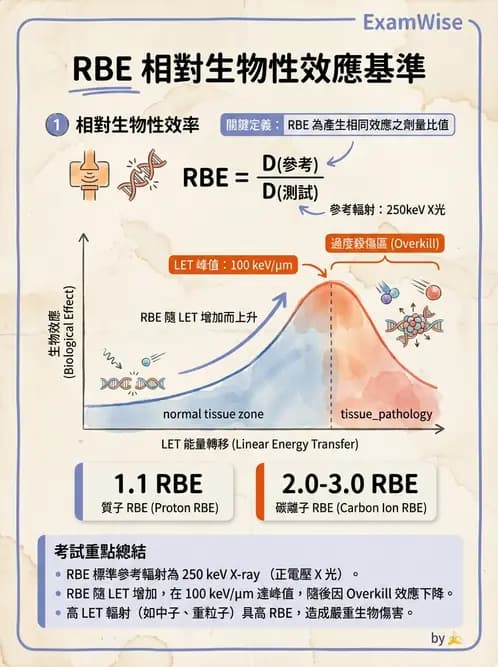 放射 - 腫瘤治療 - AI 圖文解析預覽