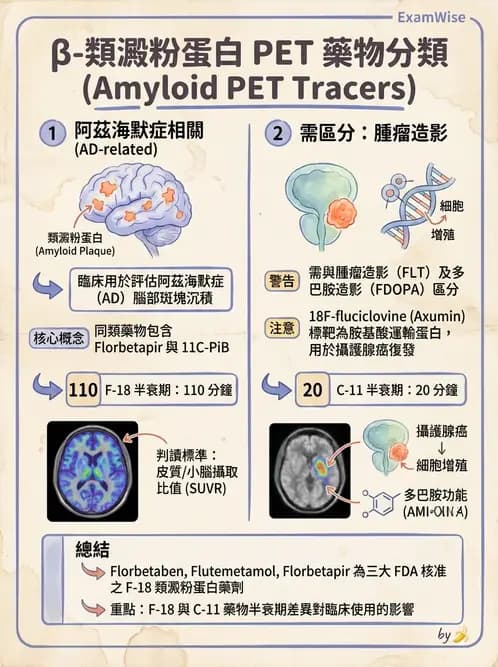 放射 - 腦神經PET藥物 - AI 圖文解析預覽