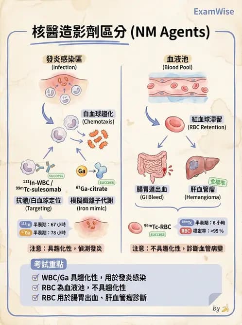 放射 - 骨骼與發炎造影SPECT藥物 - AI 圖文解析預覽