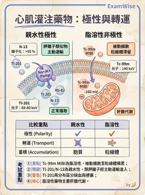 放射 - 心肌造影SPECT藥物 - AI 圖文解析預覽