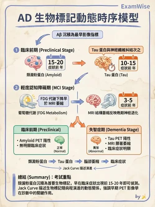 放射 - 腦部造影 - AI 圖文解析預覽