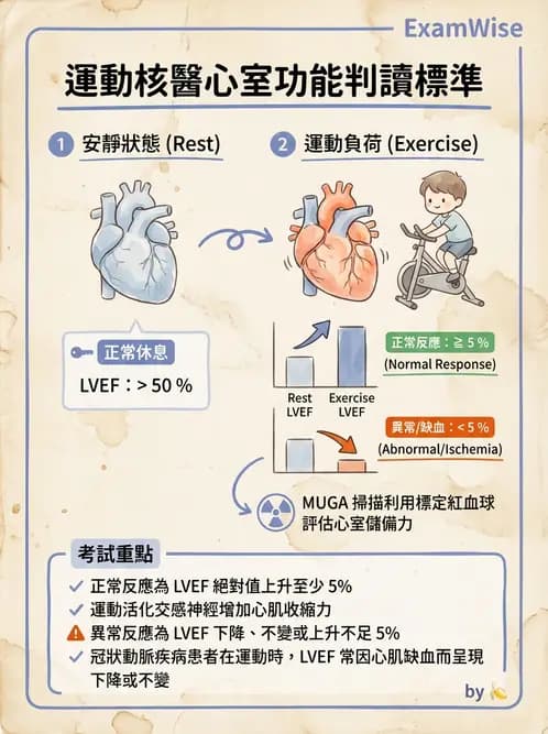 放射 - 心室功能造影 - AI 圖文解析預覽
