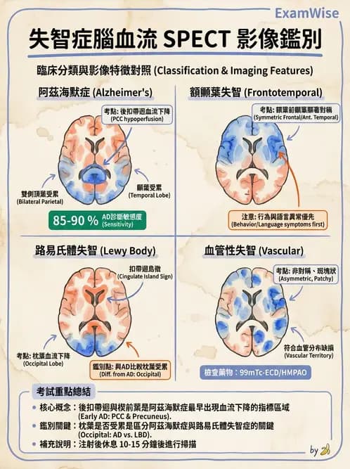 放射 - 腦部造影 - AI 圖文解析預覽