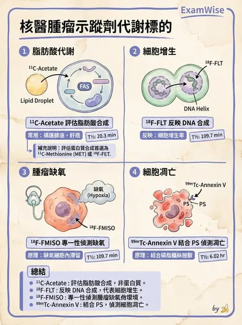 放射 - 核醫藥物 - AI 圖文解析預覽