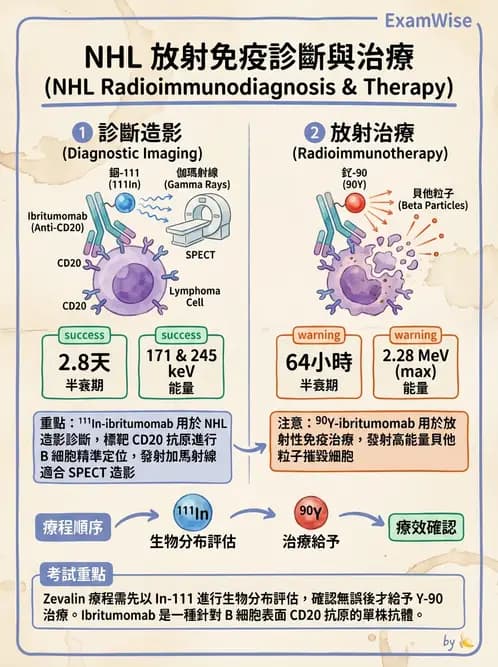 放射 - 標靶受體腫瘤造影 - AI 圖文解析預覽