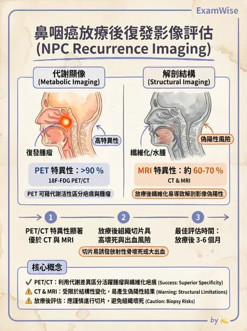 放射 - FDG PET造影 - AI 圖文解析預覽