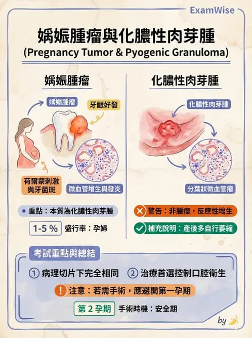 放射 - 口腔及腸胃道疾病 - AI 圖文解析預覽