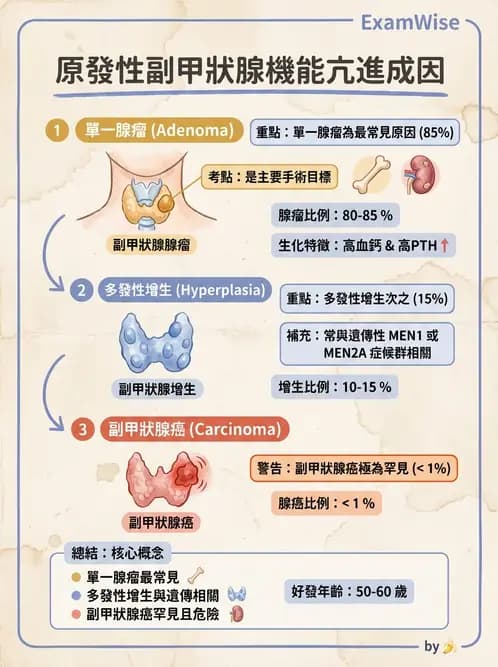 放射 - 內分泌系統疾病 - AI 圖文解析預覽