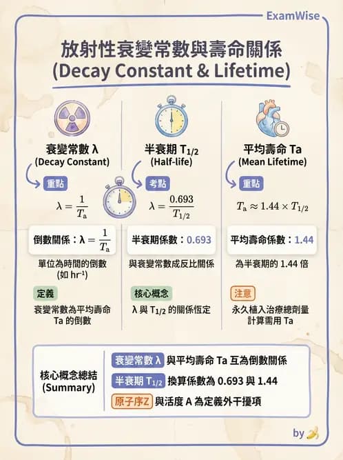 放射 - 放射性活度與衰變計算 - AI 圖文解析預覽