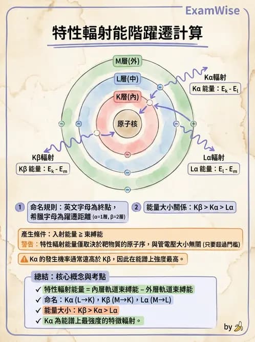 放射 - 光子作用機制 - AI 圖文解析預覽
