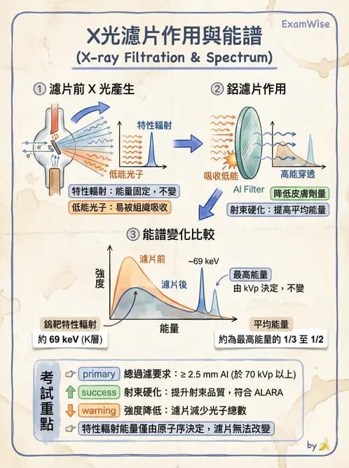 放射 - X光產生與特性 - AI 圖文解析預覽