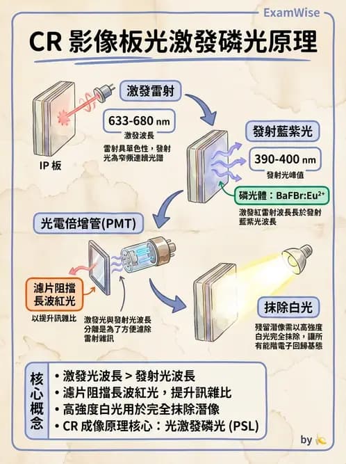 放射 - 透視與數位影像 - AI 圖文解析預覽