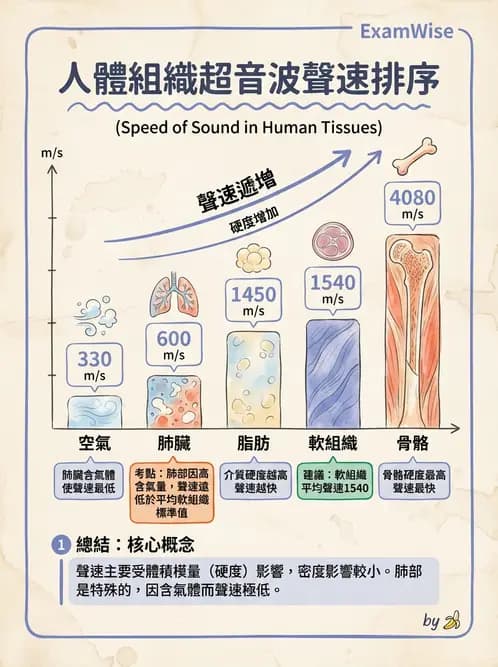 放射 - 超音波物理與換能器 - AI 圖文解析預覽