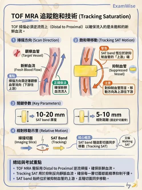 放射 - 脈衝序列與影像對比 - AI 圖文解析預覽