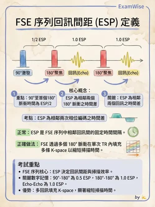 放射 - 脈衝序列與影像對比 - AI 圖文解析預覽