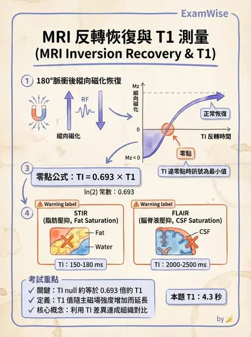 放射 - MRI基本物理與弛緩 - AI 圖文解析預覽