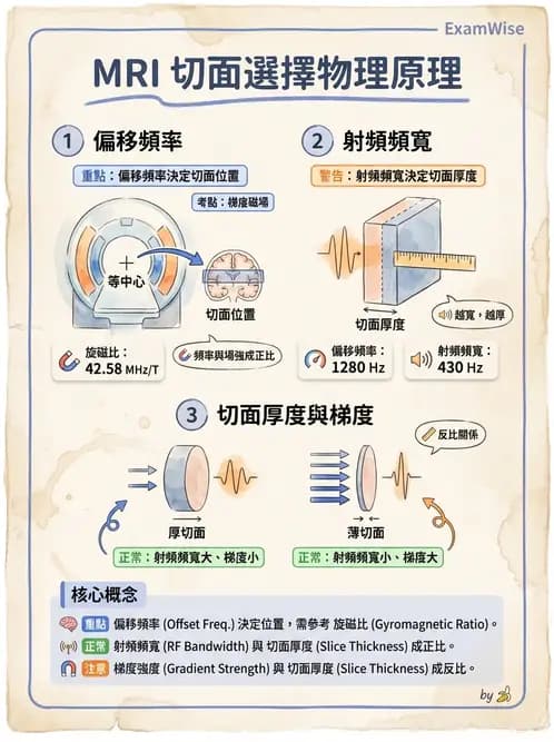 放射 - 空間編碼與影像品質 - AI 圖文解析預覽