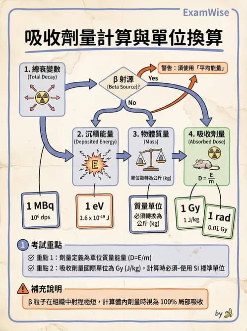 放射 - 體內劑量 - AI 圖文解析預覽