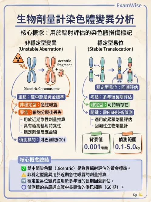 放射 - 劑量計 - AI 圖文解析預覽