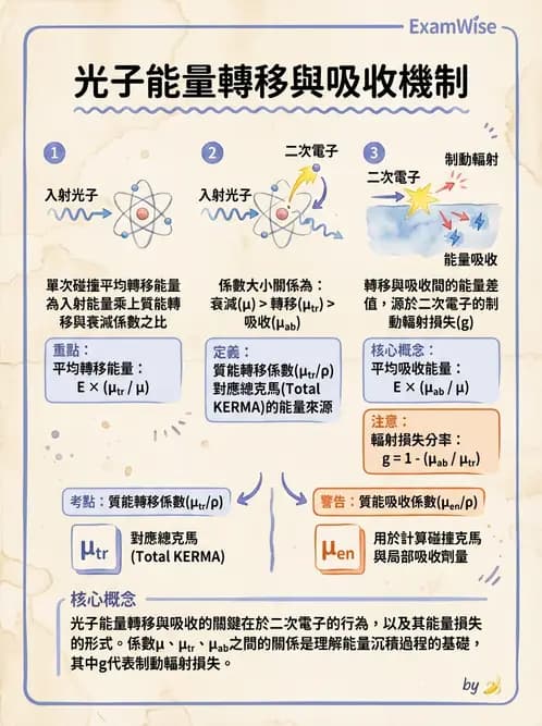 放射 - 光子衰減與係數計算 - AI 圖文解析預覽