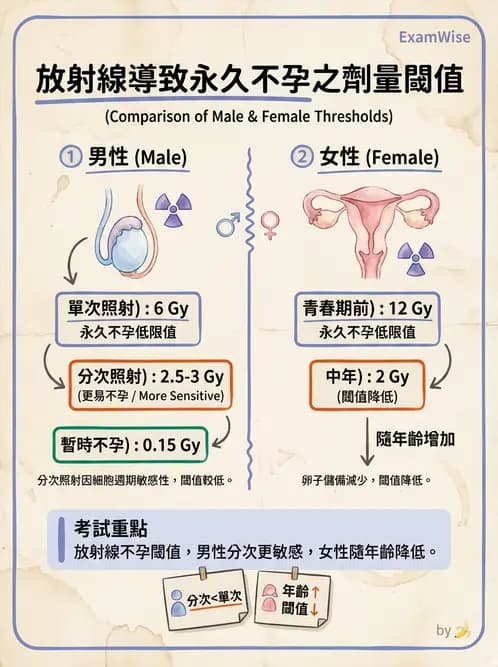 放射 - 全身性輻射效應 - AI 圖文解析預覽