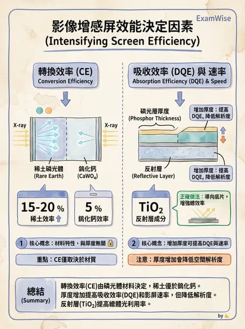 放射 - X光成像系統與影像品質 - AI 圖文解析預覽