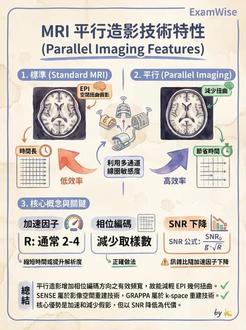 放射 - 射頻系統與線圈 - AI 圖文解析預覽
