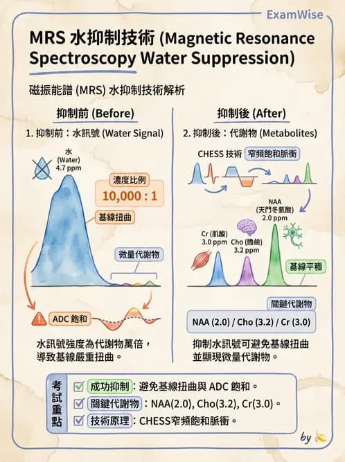 放射 - 射頻系統與線圈 - AI 圖文解析預覽