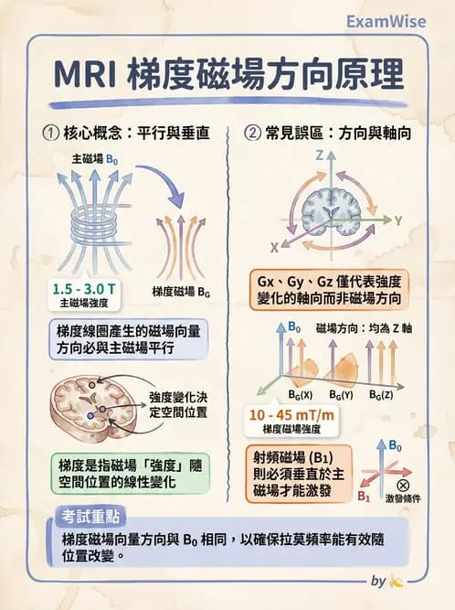 放射 - 梯度線圈與空間編碼 - AI 圖文解析預覽