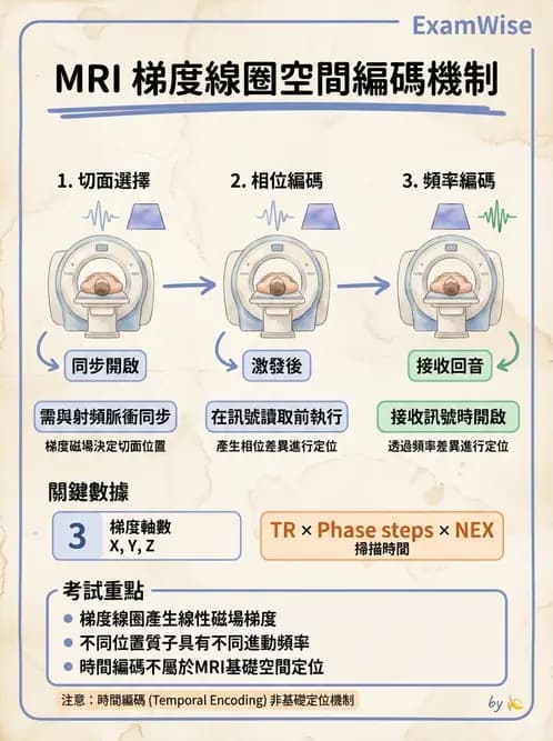 放射 - 梯度線圈與空間編碼 - AI 圖文解析預覽