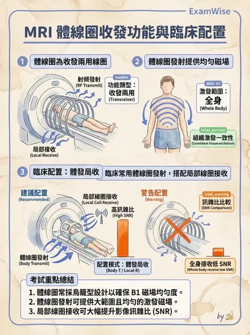 放射 - 射頻系統與線圈 - AI 圖文解析預覽
