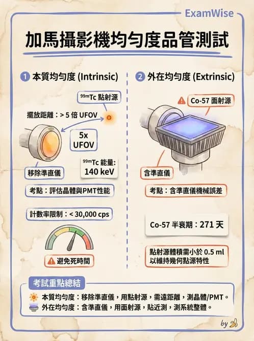 平面影像 - 影像儀器設備 - AI 圖文解析預覽