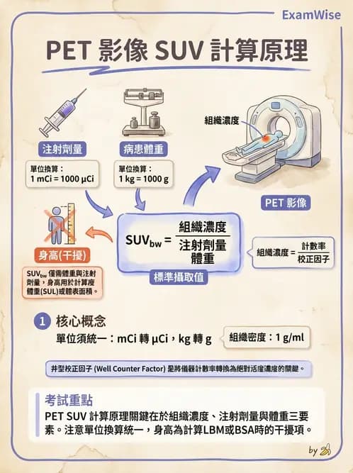 放射 - PET校正、影像重建與臨床操作 - AI 圖文解析預覽