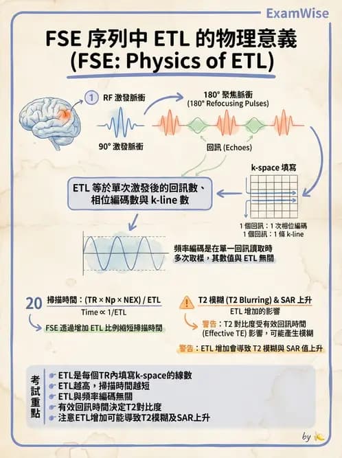 放射 - 梯度線圈與空間編碼 - AI 圖文解析預覽
