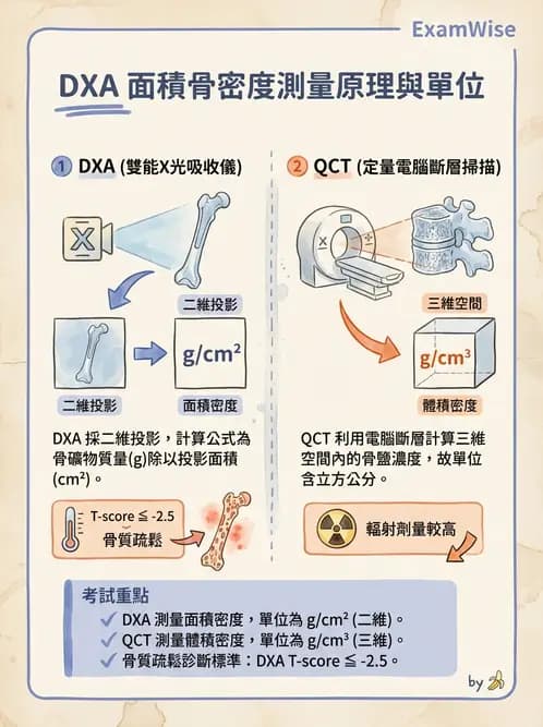 放射 - 乳房攝影與其他特殊檢查 - AI 圖文解析預覽