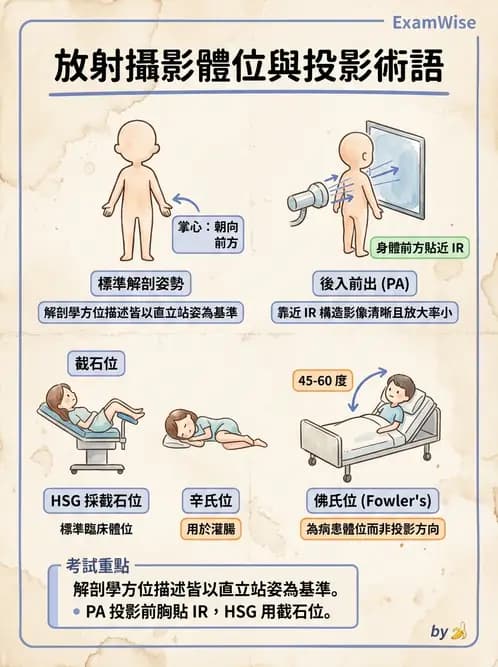 放射 - 軀幹四肢攝影技術 - AI 圖文解析預覽