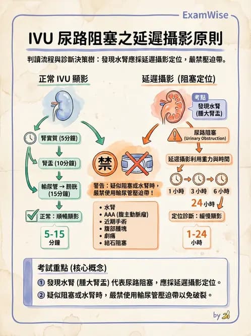 放射 - 泌尿生殖攝影 - AI 圖文解析預覽