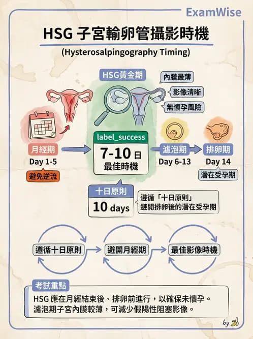 放射 - 泌尿生殖攝影 - AI 圖文解析預覽