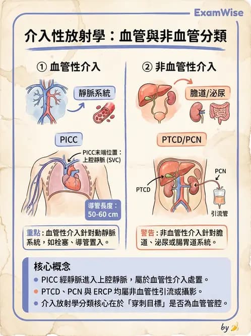 放射 - 導管技術與介入性治療 - AI 圖文解析預覽