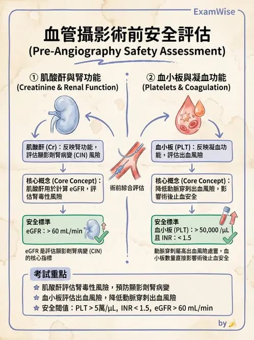 放射 - 血管攝影原理與解剖 - AI 圖文解析預覽