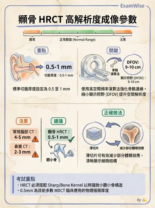 放射 - 頭頸部CT診斷 - AI 圖文解析預覽